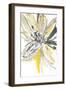 A Sunny Bloom-Rebecca Meyers-Framed Giclee Print