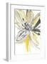 A Sunny Bloom-Rebecca Meyers-Framed Giclee Print