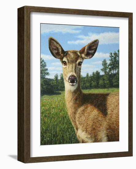 A Sunny Doe-James W. Johnson-Framed Giclee Print