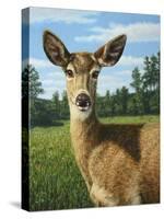 A Sunny Doe-James W. Johnson-Stretched Canvas