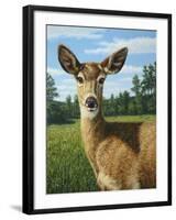 A Sunny Doe-James W. Johnson-Framed Giclee Print