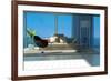 A Sunny Living Room with Large Windows-PlusONE-Framed Photographic Print