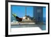 A Sunny Living Room with Large Windows-PlusONE-Framed Photographic Print