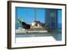 A Sunny Living Room with Large Windows-PlusONE-Framed Photographic Print