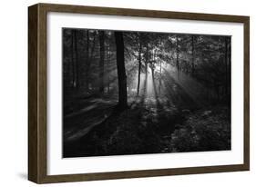 A Sunny Morning-Leif Londal-Framed Giclee Print