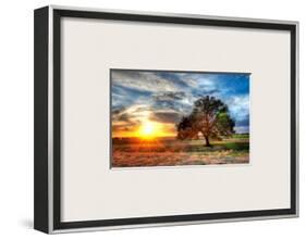 A Sunset on a Texas Farm-Trey Ratcliff-Framed Photographic Print