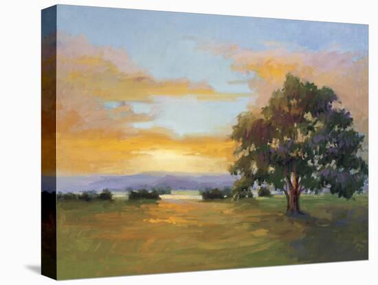 A Sunset Salute-Vicki Mcmurry-Stretched Canvas