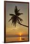 A sunset silhouette of a coconut palm at Paliton beach, Siquijor, Philippines, Southeast Asia, Asia-Nigel Hicks-Framed Photographic Print