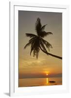 A sunset silhouette of a coconut palm at Paliton beach, Siquijor, Philippines, Southeast Asia, Asia-Nigel Hicks-Framed Photographic Print