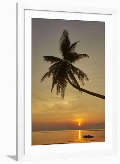 A sunset silhouette of a coconut palm at Paliton beach, Siquijor, Philippines, Southeast Asia, Asia-Nigel Hicks-Framed Photographic Print