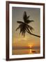 A sunset silhouette of a coconut palm at Paliton beach, Siquijor, Philippines, Southeast Asia, Asia-Nigel Hicks-Framed Photographic Print