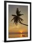 A sunset silhouette of a coconut palm at Paliton beach, Siquijor, Philippines, Southeast Asia, Asia-Nigel Hicks-Framed Photographic Print