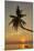 A sunset silhouette of a coconut palm at Paliton beach, Siquijor, Philippines, Southeast Asia, Asia-Nigel Hicks-Mounted Photographic Print