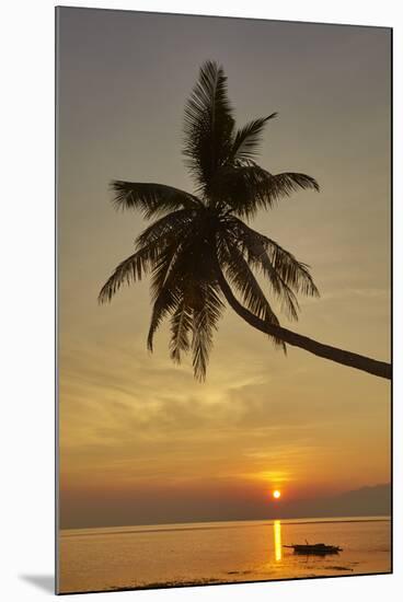 A sunset silhouette of a coconut palm at Paliton beach, Siquijor, Philippines, Southeast Asia, Asia-Nigel Hicks-Mounted Photographic Print