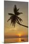 A sunset silhouette of a coconut palm at Paliton beach, Siquijor, Philippines, Southeast Asia, Asia-Nigel Hicks-Mounted Photographic Print