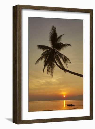 A sunset silhouette of a coconut palm at Paliton beach, Siquijor, Philippines, Southeast Asia, Asia-Nigel Hicks-Framed Photographic Print