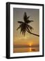 A sunset silhouette of a coconut palm at Paliton beach, Siquijor, Philippines, Southeast Asia, Asia-Nigel Hicks-Framed Photographic Print