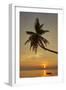 A sunset silhouette of a coconut palm at Paliton beach, Siquijor, Philippines, Southeast Asia, Asia-Nigel Hicks-Framed Photographic Print