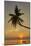 A sunset silhouette of a coconut palm at Paliton beach, Siquijor, Philippines, Southeast Asia, Asia-Nigel Hicks-Mounted Photographic Print