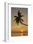 A sunset silhouette of a coconut palm at Paliton beach, Siquijor, Philippines, Southeast Asia, Asia-Nigel Hicks-Framed Photographic Print