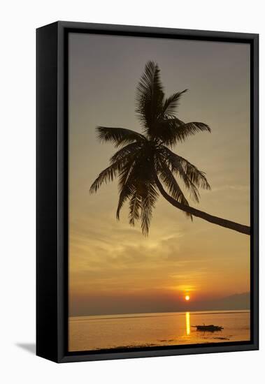 A sunset silhouette of a coconut palm at Paliton beach, Siquijor, Philippines, Southeast Asia, Asia-Nigel Hicks-Framed Stretched Canvas