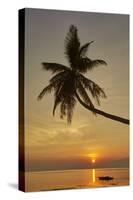 A sunset silhouette of a coconut palm at Paliton beach, Siquijor, Philippines, Southeast Asia, Asia-Nigel Hicks-Stretched Canvas