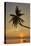 A sunset silhouette of a coconut palm at Paliton beach, Siquijor, Philippines, Southeast Asia, Asia-Nigel Hicks-Stretched Canvas