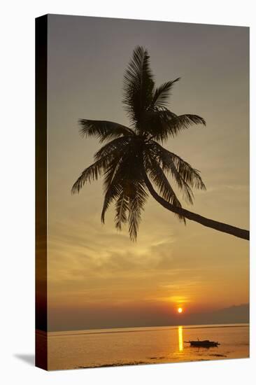 A sunset silhouette of a coconut palm at Paliton beach, Siquijor, Philippines, Southeast Asia, Asia-Nigel Hicks-Stretched Canvas