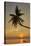 A sunset silhouette of a coconut palm at Paliton beach, Siquijor, Philippines, Southeast Asia, Asia-Nigel Hicks-Stretched Canvas