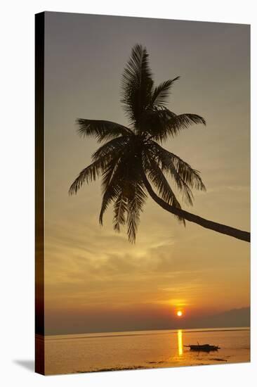 A sunset silhouette of a coconut palm at Paliton beach, Siquijor, Philippines, Southeast Asia, Asia-Nigel Hicks-Stretched Canvas