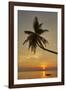 A sunset silhouette of a coconut palm at Paliton beach, Siquijor, Philippines, Southeast Asia, Asia-Nigel Hicks-Framed Photographic Print