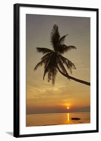 A sunset silhouette of a coconut palm at Paliton beach, Siquijor, Philippines, Southeast Asia, Asia-Nigel Hicks-Framed Photographic Print