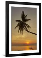 A sunset silhouette of a coconut palm at Paliton beach, Siquijor, Philippines, Southeast Asia, Asia-Nigel Hicks-Framed Photographic Print