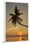 A sunset silhouette of a coconut palm at Paliton beach, Siquijor, Philippines, Southeast Asia, Asia-Nigel Hicks-Framed Premium Photographic Print