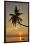 A sunset silhouette of a coconut palm at Paliton beach, Siquijor, Philippines, Southeast Asia, Asia-Nigel Hicks-Framed Premium Photographic Print