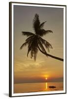 A sunset silhouette of a coconut palm at Paliton beach, Siquijor, Philippines, Southeast Asia, Asia-Nigel Hicks-Framed Premium Photographic Print