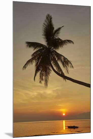 A sunset silhouette of a coconut palm at Paliton beach, Siquijor, Philippines, Southeast Asia, Asia-Nigel Hicks-Mounted Premium Photographic Print