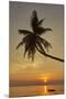 A sunset silhouette of a coconut palm at Paliton beach, Siquijor, Philippines, Southeast Asia, Asia-Nigel Hicks-Mounted Premium Photographic Print