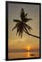 A sunset silhouette of a coconut palm at Paliton beach, Siquijor, Philippines, Southeast Asia, Asia-Nigel Hicks-Framed Premium Photographic Print