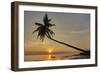 A sunset silhouette of a coconut palm at Paliton beach, Siquijor, Philippines, Southeast Asia, Asia-Nigel Hicks-Framed Photographic Print