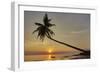 A sunset silhouette of a coconut palm at Paliton beach, Siquijor, Philippines, Southeast Asia, Asia-Nigel Hicks-Framed Photographic Print