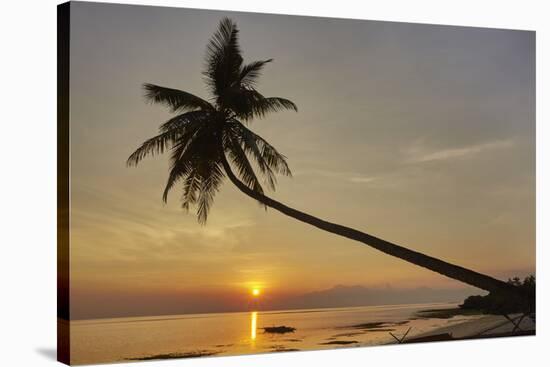 A sunset silhouette of a coconut palm at Paliton beach, Siquijor, Philippines, Southeast Asia, Asia-Nigel Hicks-Stretched Canvas