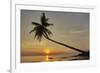 A sunset silhouette of a coconut palm at Paliton beach, Siquijor, Philippines, Southeast Asia, Asia-Nigel Hicks-Framed Photographic Print