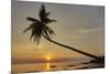 A sunset silhouette of a coconut palm at Paliton beach, Siquijor, Philippines, Southeast Asia, Asia-Nigel Hicks-Mounted Photographic Print