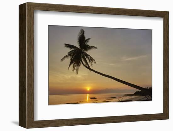 A sunset silhouette of a coconut palm at Paliton beach, Siquijor, Philippines, Southeast Asia, Asia-Nigel Hicks-Framed Photographic Print