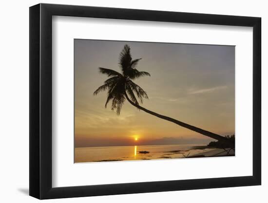 A sunset silhouette of a coconut palm at Paliton beach, Siquijor, Philippines, Southeast Asia, Asia-Nigel Hicks-Framed Photographic Print