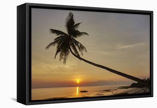 A sunset silhouette of a coconut palm at Paliton beach, Siquijor, Philippines, Southeast Asia, Asia-Nigel Hicks-Framed Stretched Canvas