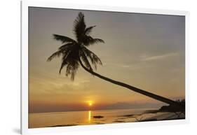 A sunset silhouette of a coconut palm at Paliton beach, Siquijor, Philippines, Southeast Asia, Asia-Nigel Hicks-Framed Photographic Print