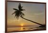 A sunset silhouette of a coconut palm at Paliton beach, Siquijor, Philippines, Southeast Asia, Asia-Nigel Hicks-Framed Photographic Print