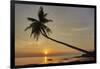 A sunset silhouette of a coconut palm at Paliton beach, Siquijor, Philippines, Southeast Asia, Asia-Nigel Hicks-Framed Photographic Print